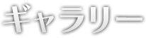 ギャラリー